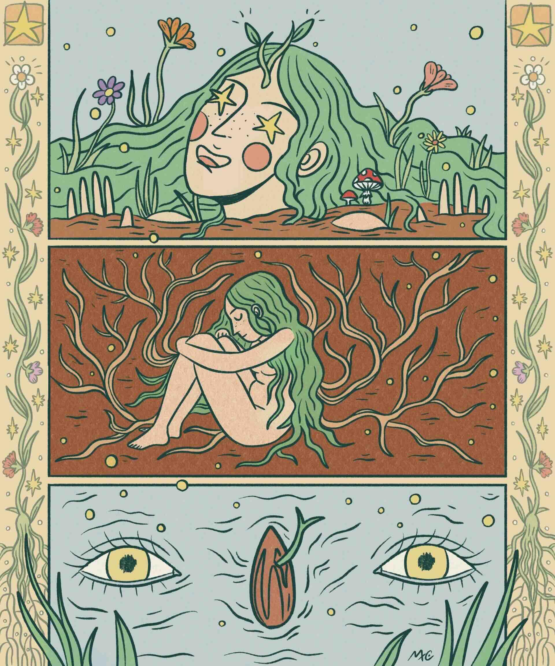 Micol Fontana: La Radice.